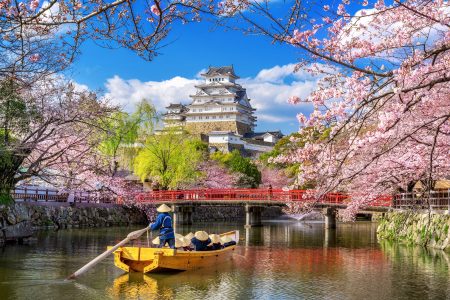 Japan’s Wonders by Sea: A Luxury Cruise Expedition