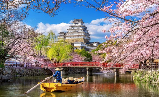 Japan’s Wonders by Sea: A Luxury Cruise Expedition