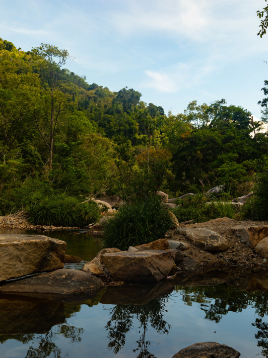 Vietnam